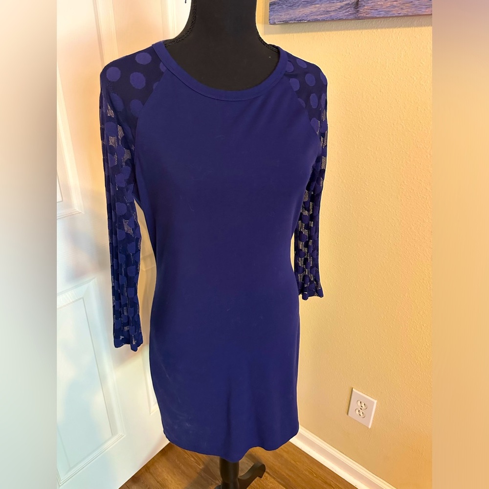Blue Polkadot Sheer Sleeve Dress